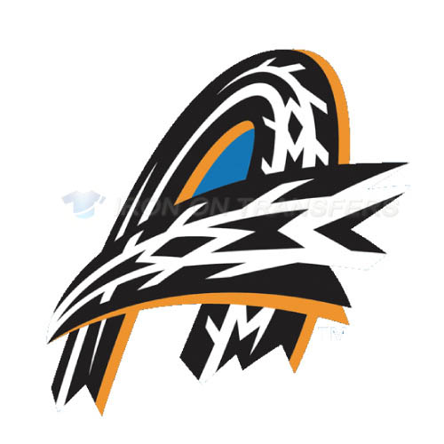 Akron RubberDucks Iron-on Stickers (Heat Transfers)NO.7812